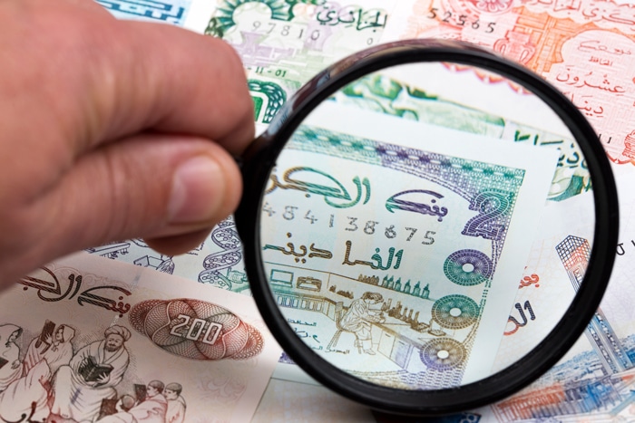 افضل 10 افكار مشاريع مربحة في الجزائر للشباب 2023