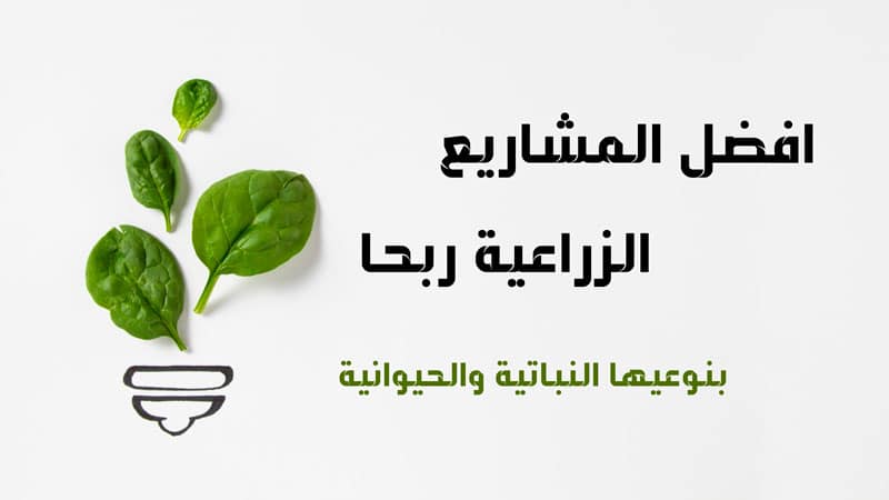 مشاريع زراعية: 17 افكار مشاريع زراعية مربحة بنوعيها النباتية والحيوانية