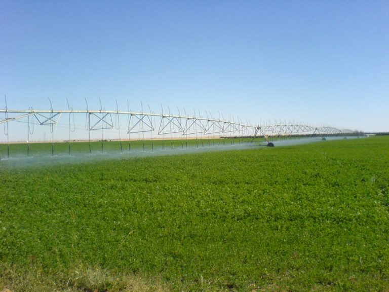 استصلاح الأراضي الصحراوية.. التكلفة والطريقة